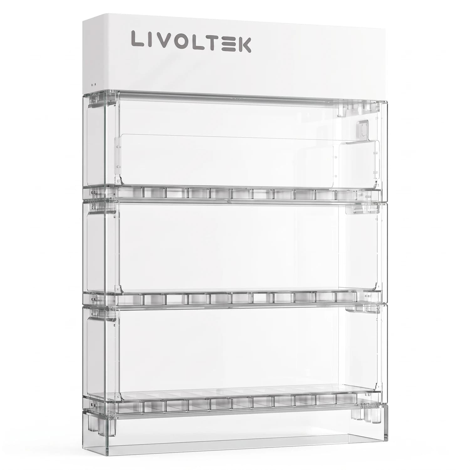 Módulo de Control Maestro high voltage serie BHF-S IP65 Livoltek