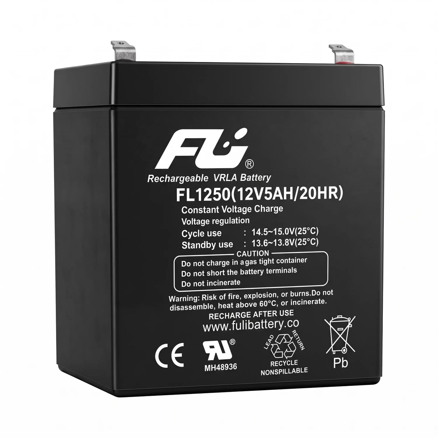 Batería AGM 12V 5Ah FL1250GS Fuli Battery
