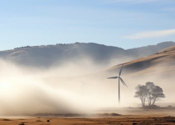 Affordable solar power with REAP grants