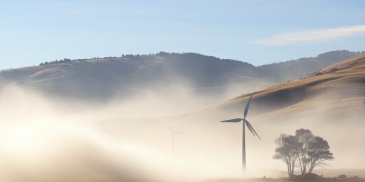 Affordable solar power with REAP grants