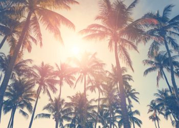 You Should Start Your Summer 2024 Solar Installation Today