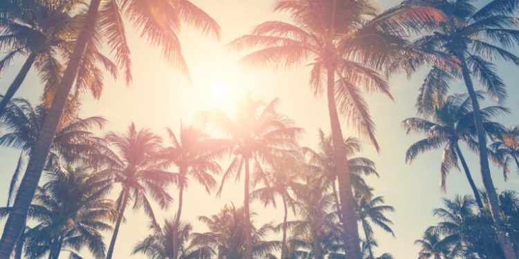 You Should Start Your Summer 2024 Solar Installation Today