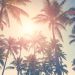 You Should Start Your Summer 2024 Solar Installation Today