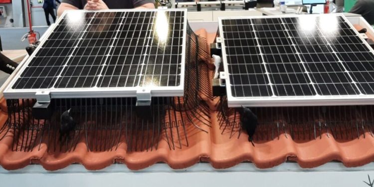 The rapid expansion of small-scale, distributed-generation solar – pv magazine USA