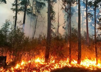 Why Australians Should Invest Now