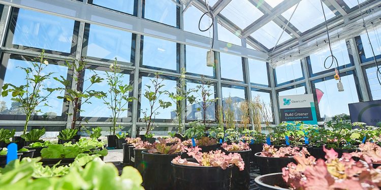 California greenhouse company to use ClearVue solar glass