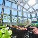 California greenhouse company to use ClearVue solar glass