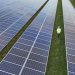 Solar total installed capacity to grow 84% in two years – pv magazine USA