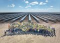 Three global trends for solar in 2023  – pv magazine USA