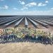 Three global trends for solar in 2023  – pv magazine USA