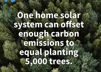 Environmental Impact of Going Solar