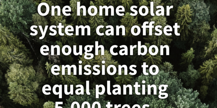 Environmental Impact of Going Solar