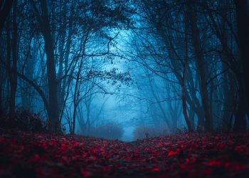 Stranger Solar – Life Without Solar Energy