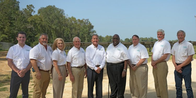 Talquin Electric Cooperative completes nearly 7-MW solar portfolio