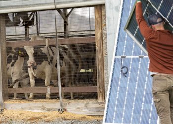 New SunCommon solar installation powers Vermont dairy farm