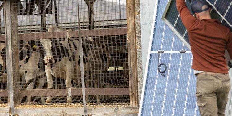 New SunCommon solar installation powers Vermont dairy farm