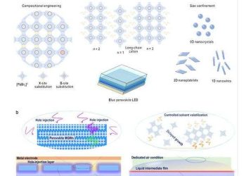 Focus on perovskite emitters in blue light-emitting diodes