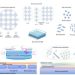 Focus on perovskite emitters in blue light-emitting diodes