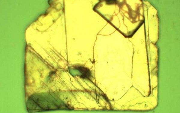 New insight for stabilizing halide perovskite via thiocyanate substitution
