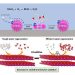 A cheaper, safer alternative to lithium-ion batteries: Aqueous rechargeable batteries