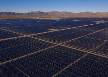 Developers and environmental orgs release shared vision on utility-scale solar deployment