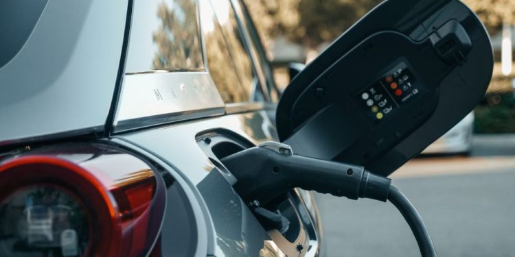 Are They the Future of Automotive?