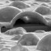Cheap and efficient catalyst could boost renewable energy storage