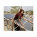India must rapidly scale solar to reach renewable targets: study