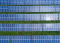 Solar module prices at two-year low, deployment to reach 300 GW this year – pv magazine USA