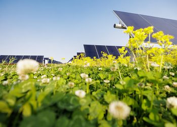 More new solar has been installed this year in the US than any other energy source