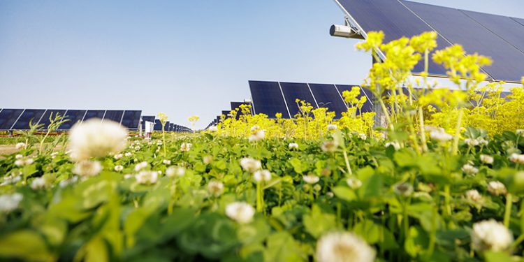 More new solar has been installed this year in the US than any other energy source