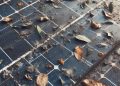 How to Care for Your Solar Panels
