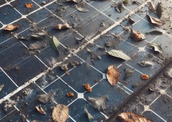 How to Care for Your Solar Panels