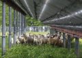 Pennsylvania landowners interested in hosting solar can use new guidebook for FAQs