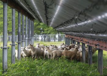 Pennsylvania landowners interested in hosting solar can use new guidebook for FAQs