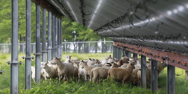 Pennsylvania landowners interested in hosting solar can use new guidebook for FAQs