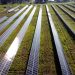 Castillo Engineering and RECON Corp spearhead 15-MW Illinois community solar portfolio