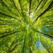 Environmental Impact: Is Solar Worth It?