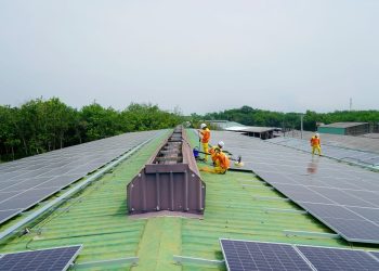 The Ultimate Guide and Benefits of Hiring a Professional Solar Panel Cleaner