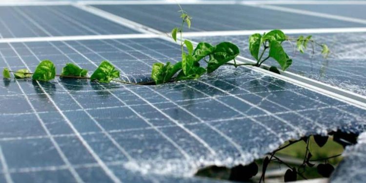 When Should I Upgrade to a New Solar System?