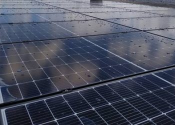 Jinko Solar Panels Review