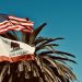 California is losing solar jobs at record pace