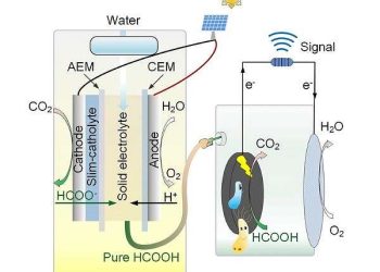 Chinese Research Team Develops Fast-Charging Biohybrid Battery System