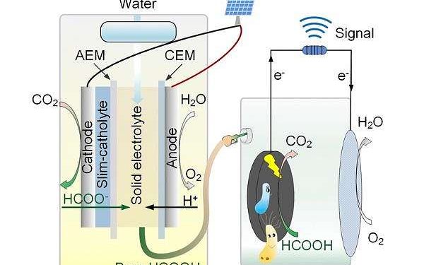 Chinese Research Team Develops Fast-Charging Biohybrid Battery System