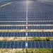 GameChange Solar supplying trackers to 232-MW Texas Gulf Coast solar project