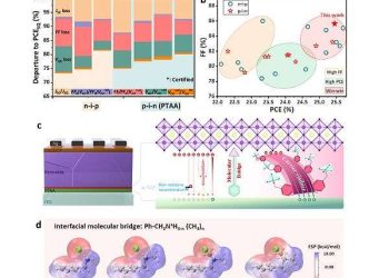 Novel molecular bridge strategy boosts efficiency of perovskite solar cells