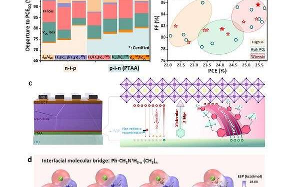 Novel molecular bridge strategy boosts efficiency of perovskite solar cells