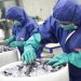 The global polysilicon market is entering another severe oversupply situation