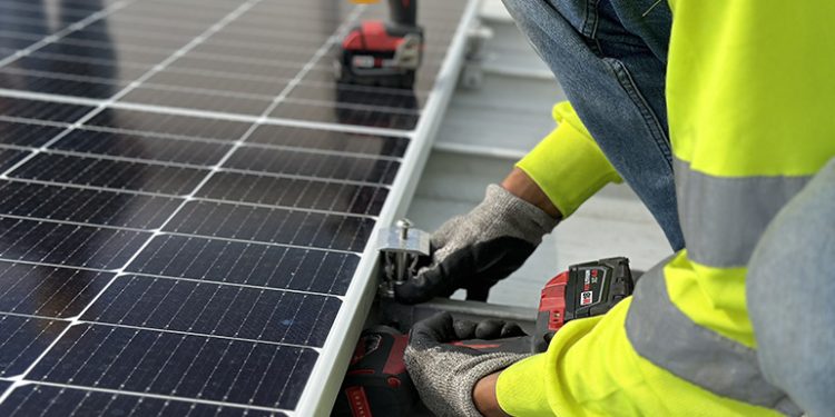 Solar industry wants more silicon cells to be imported duty-free