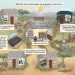 Solar mini-grids offer clean-power hope to rural Africa